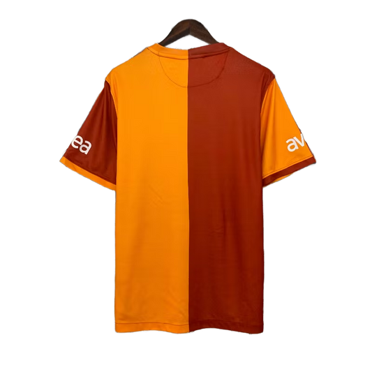 Galatasaray Home 13/14