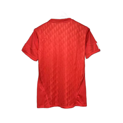 Liverpool Home 10/11